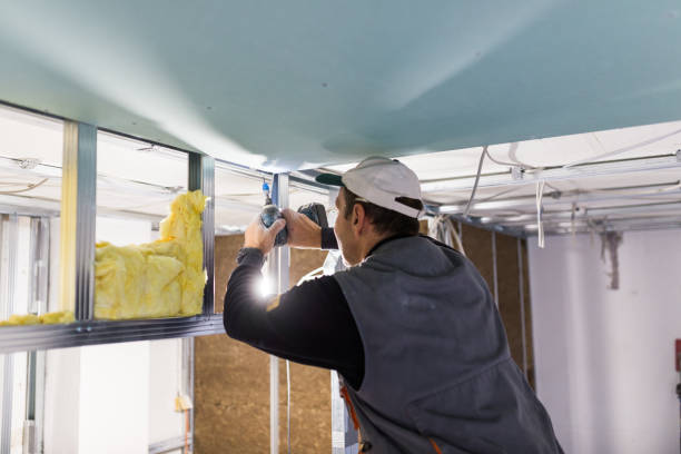Best Eco-Friendly Insulation in Portage, WI