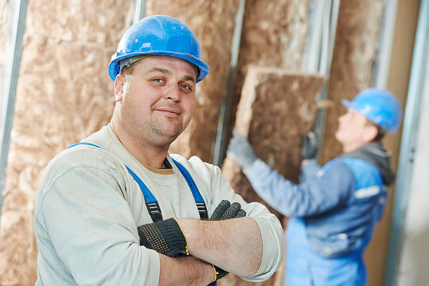 Best Cellulose Insulation in Portage, WI